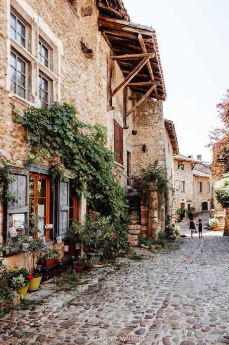 Ferienwohnung Le Cosy Plein Centre Avec Terrasse Meximieux Exterior foto